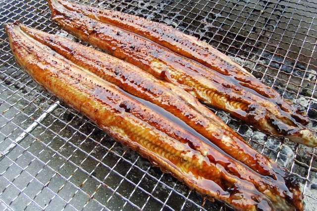 うなぎ蒲焼は炭火でじっくり焼き上げる【森うなぎ屋】～国産のうなぎだから安心！～